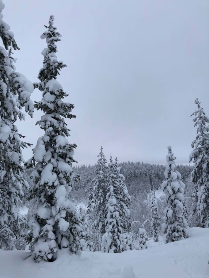 Sneeuwlandschap in grauwe bewolking