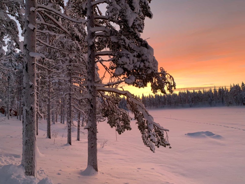 Zonsondergang in sneeuwlandschap